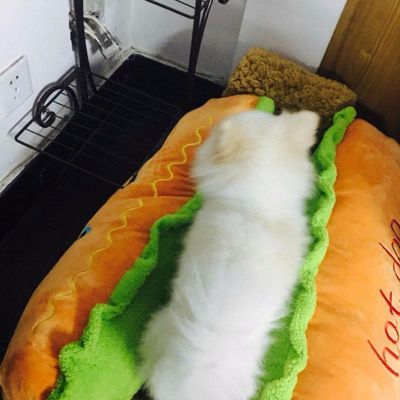 Cama para Pets - Hot Dog - Nifrans