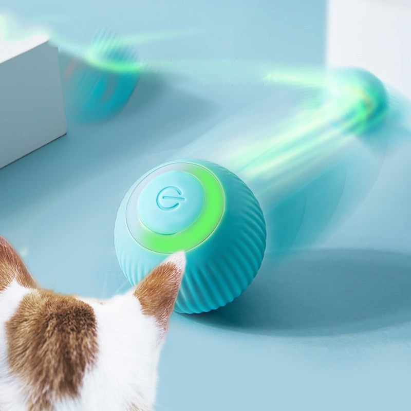 Bola Inteligente para Pet - Smart Ball™ - Nifrans