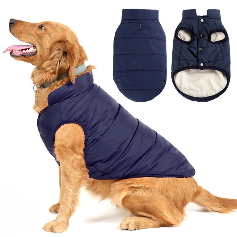 Colete Pet Steve™ | Roupa Para Cachorro - Nifrans