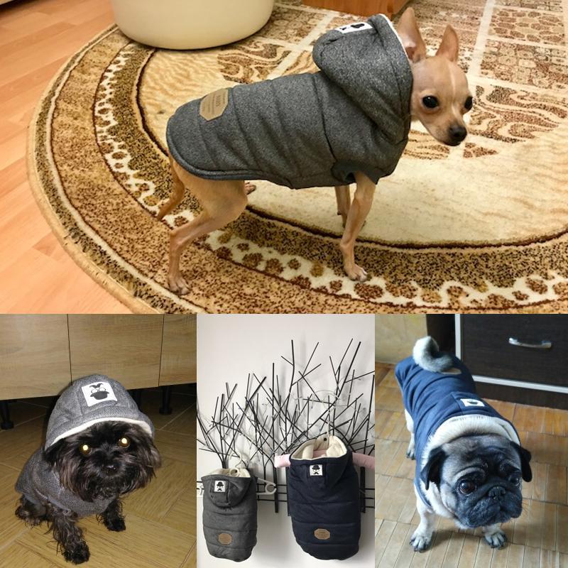 Colete de Inverno para Cachorros | Gentleman - Nifrans